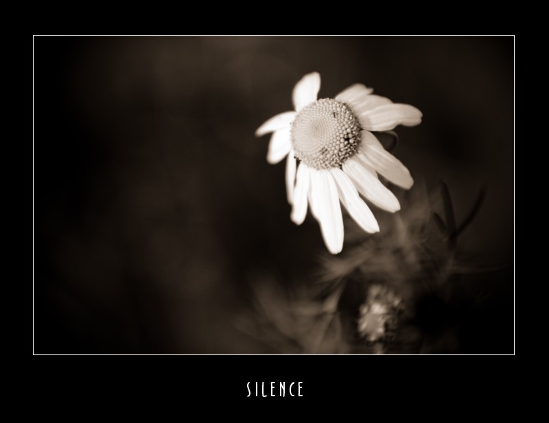Sielence