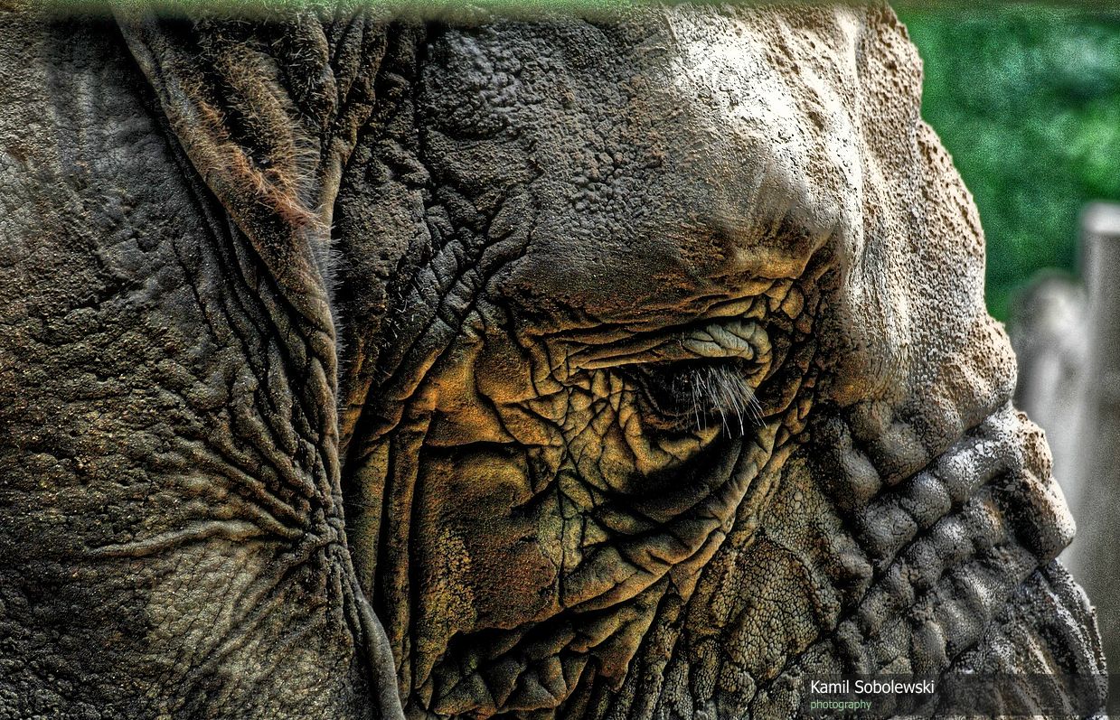 GdaĹsk Zoo Oliwa