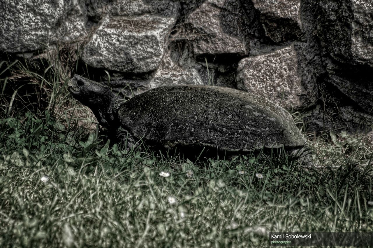 Zoo GdaĹsk Oliwa