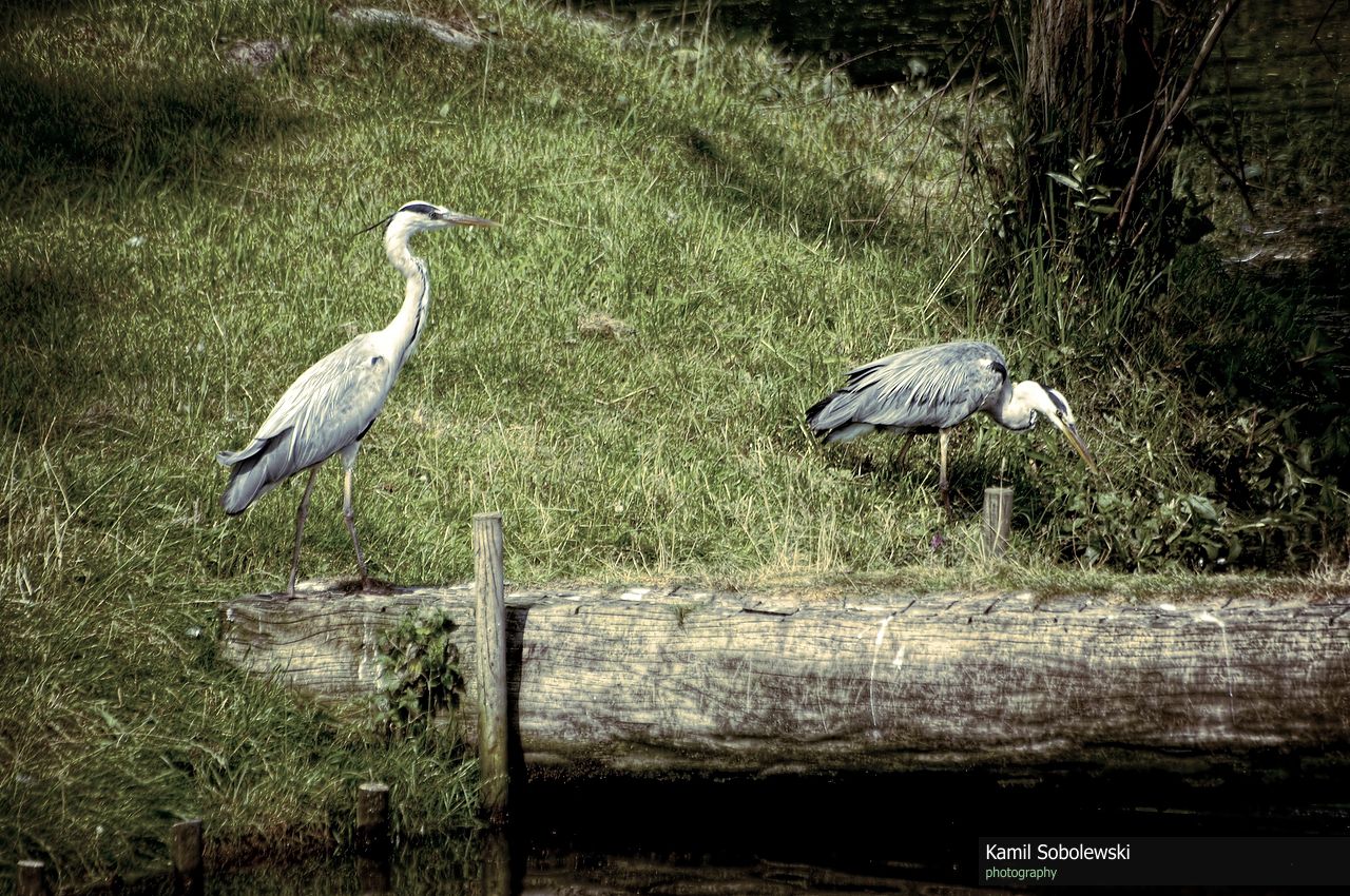 Zoo GdaĹsk Oliwa