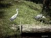 Zoo GdaĹsk Oliwa